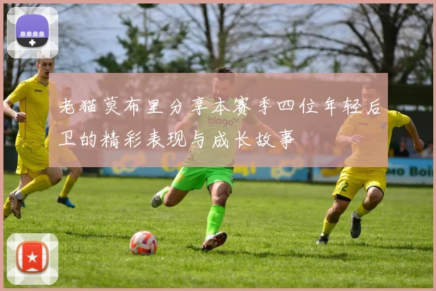 老猫莫布里分享本赛季四位年轻后卫的精彩表现与成长故事